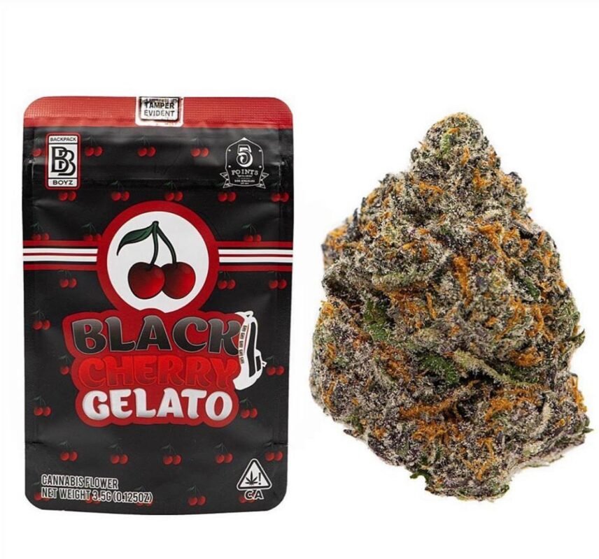 Black Cherry Gelato 14g wietzakje van Backpack Boyz