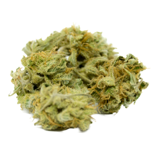 indica-dominant-hybrid_1188020209.webp