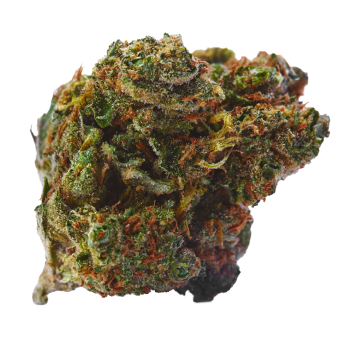 indica-dominant-hybrid_596269109.webp